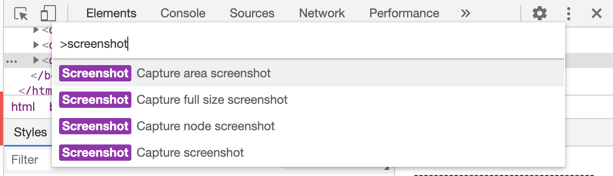 command to screenshot google chrome